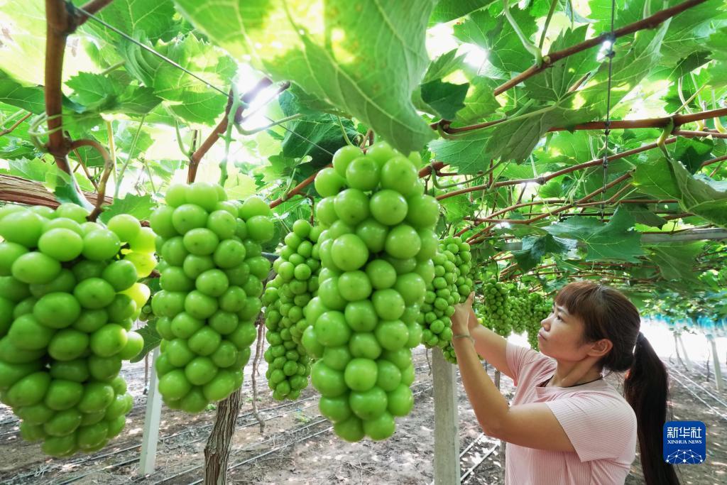 客户端巴黎人